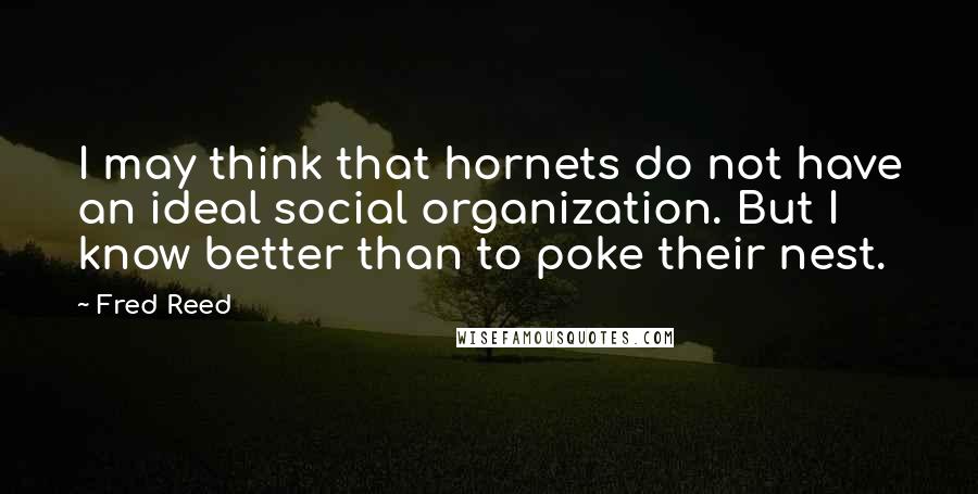 Fred Reed quotes: I may think that hornets do not have an ideal social organization. But I know better than to poke their nest.