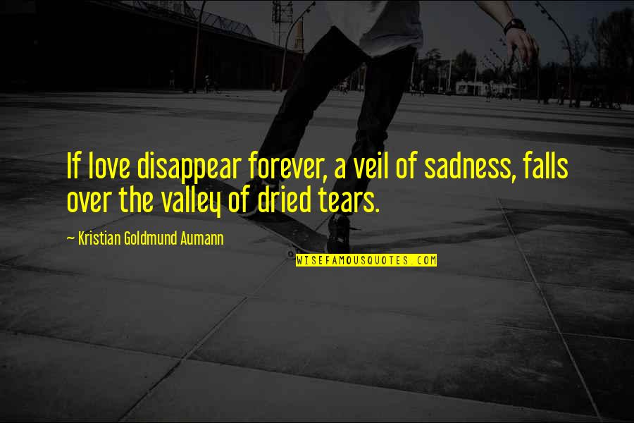 Fred Ritchin Quotes By Kristian Goldmund Aumann: If love disappear forever, a veil of sadness,