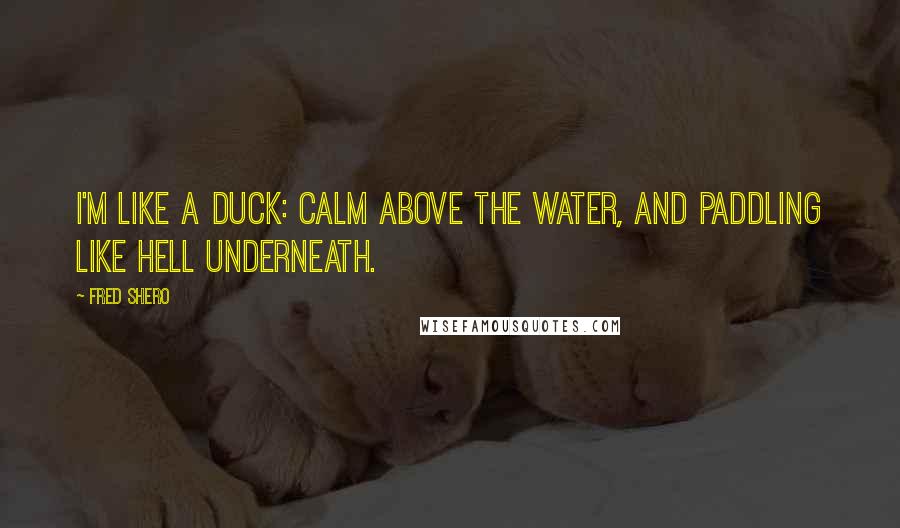 Fred Shero quotes: I'm like a duck: calm above the water, and paddling like hell underneath.