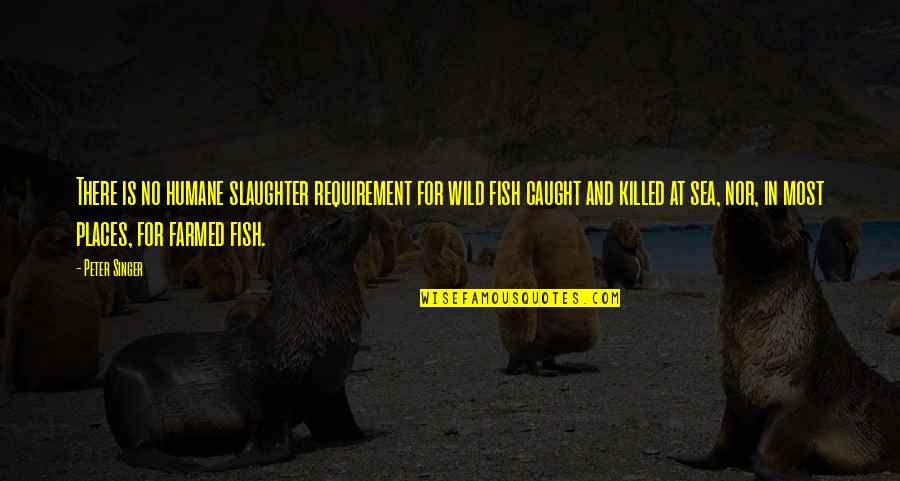 Freddie Gibbs Quotes By Peter Singer: There is no humane slaughter requirement for wild Freddie Gibbs Quotes By Peter Singer: There is no humane slaughter requirement for wild