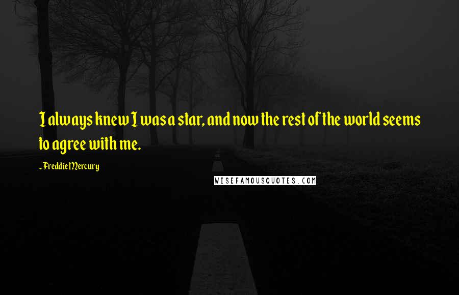 Freddie Mercury quotes: I always knew I was a star, and now the rest of the world seems to agree with me.