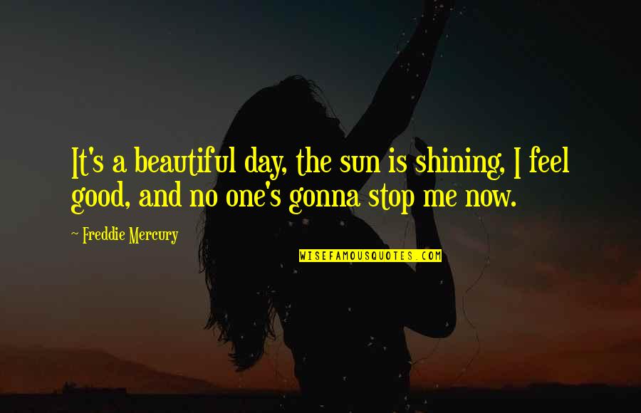 Freddie Mercury Quotes By Freddie Mercury: It's a beautiful day, the sun is shining,