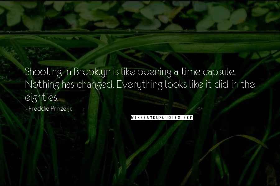 Freddie Prinze Jr. quotes: Shooting in Brooklyn is like opening a time capsule. Nothing has changed. Everything looks like it did in the eighties. Freddie Prinze Jr. quotes: Shooting in Brooklyn is like opening a time capsule. Nothing has changed. Everything looks like it did in the eighties.