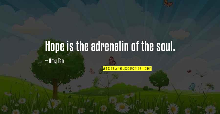 Fredell Samples Quotes By Amy Tan: Hope is the adrenalin of the soul. Fredell Samples Quotes By Amy Tan: Hope is the adrenalin of the soul.