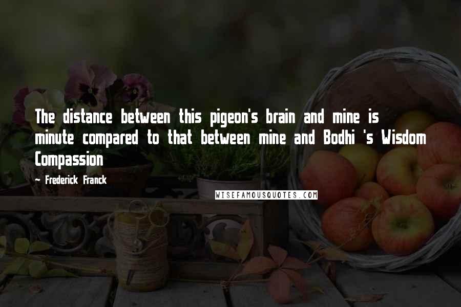 Frederick Franck quotes: The distance between this pigeon's brain and mine is minute compared to that between mine and Bodhi 's Wisdom Compassion Frederick Franck quotes: The distance between this pigeon's brain and mine is minute compared to that between mine and Bodhi 's Wisdom Compassion