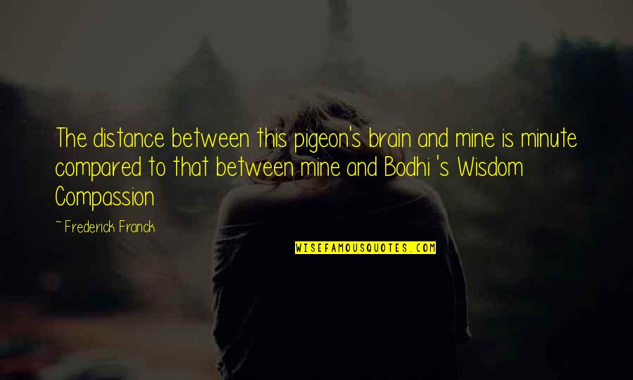 Frederick Franck Quotes By Frederick Franck: The distance between this pigeon's brain and mine Frederick Franck Quotes By Frederick Franck: The distance between this pigeon's brain and mine