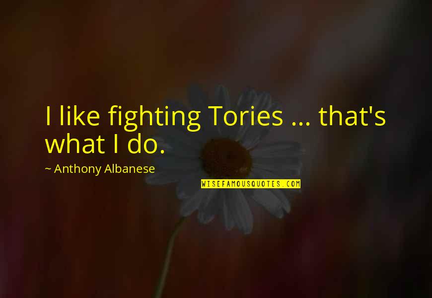 Fredericka Quotes By Anthony Albanese: I like fighting Tories ... that's what I Fredericka Quotes By Anthony Albanese: I like fighting Tories ... that's what I