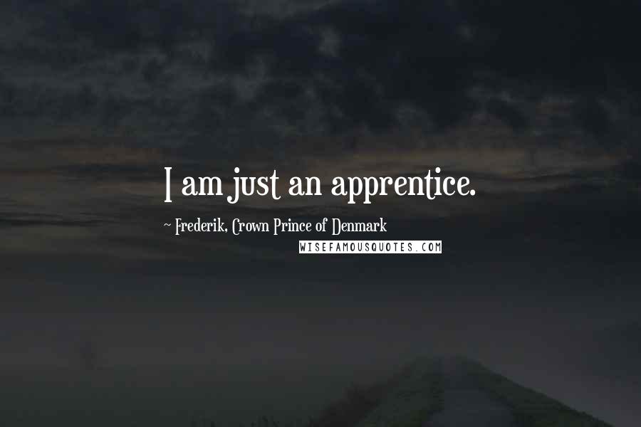 Frederik, Crown Prince Of Denmark quotes: I am just an apprentice.