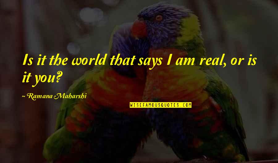Fredin Bros Quotes By Ramana Maharshi: Is it the world that says I am