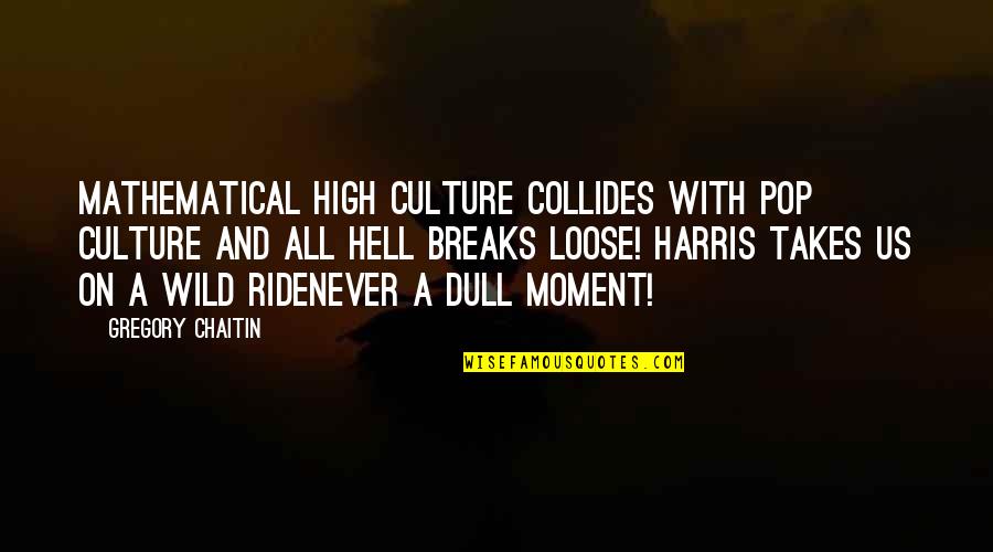 Fredlund Unsaturated Quotes By Gregory Chaitin: Mathematical high culture collides with pop culture and