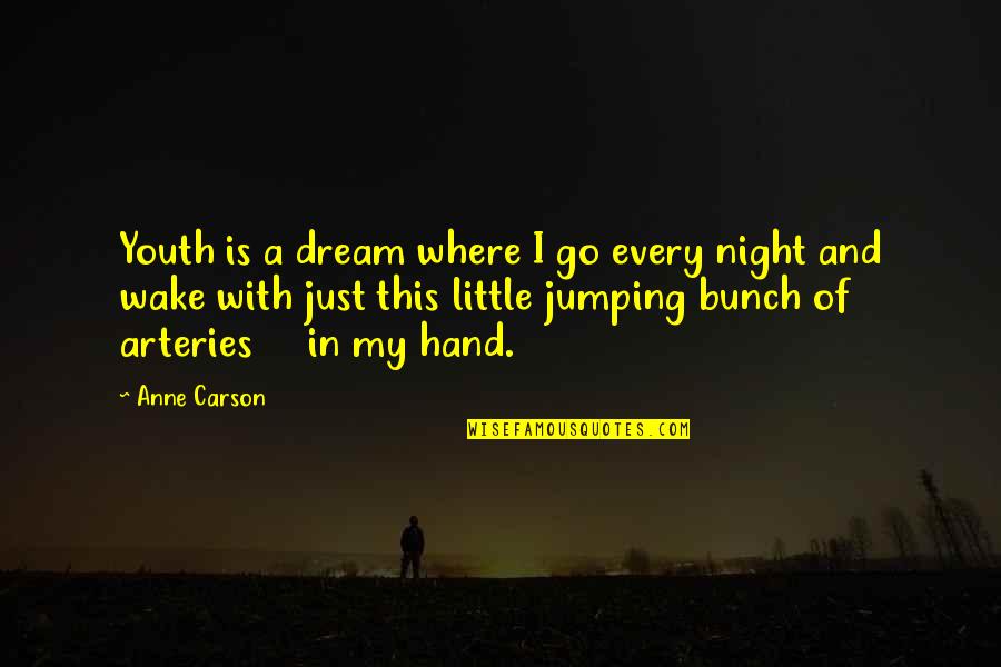 Fredricksen Hannah Quotes By Anne Carson: Youth is a dream where I go every Fredricksen Hannah Quotes By Anne Carson: Youth is a dream where I go every