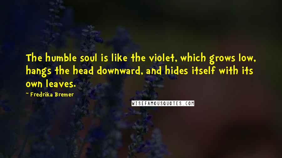 Fredrika Bremer quotes: The humble soul is like the violet, which grows low, hangs the head downward, and hides itself with its own leaves.