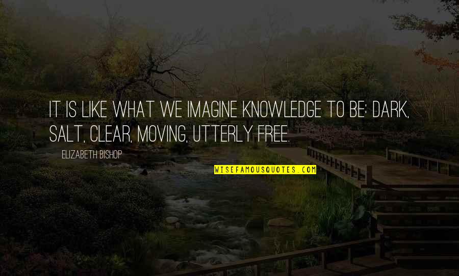Free And Clear Quotes By Elizabeth Bishop: It is like what we imagine knowledge to