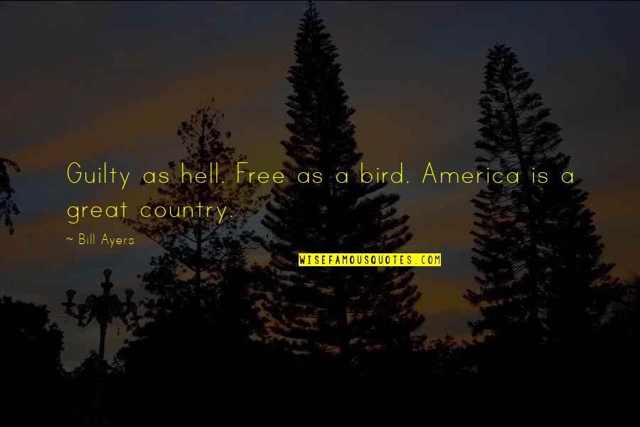 Free As Bird Quotes By Bill Ayers: Guilty as hell. Free as a bird. America