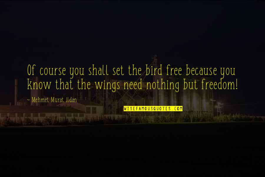 Free As Bird Quotes By Mehmet Murat Ildan: Of course you shall set the bird free