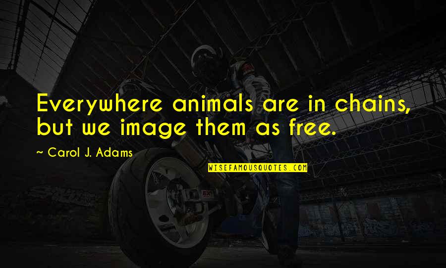 Free As Quotes By Carol J. Adams: Everywhere animals are in chains, but we image Free As Quotes By Carol J. Adams: Everywhere animals are in chains, but we image