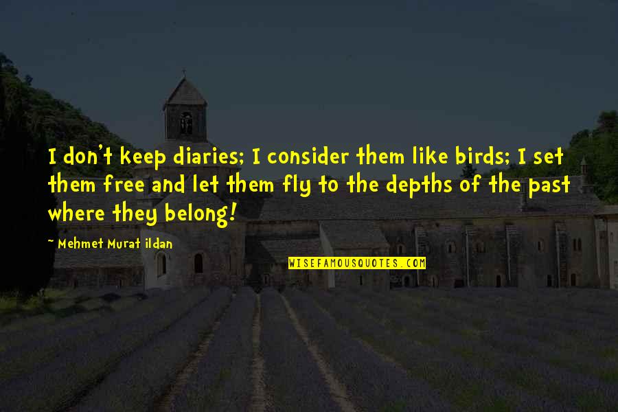 Free Bird Fly Quotes By Mehmet Murat Ildan: I don't keep diaries; I consider them like