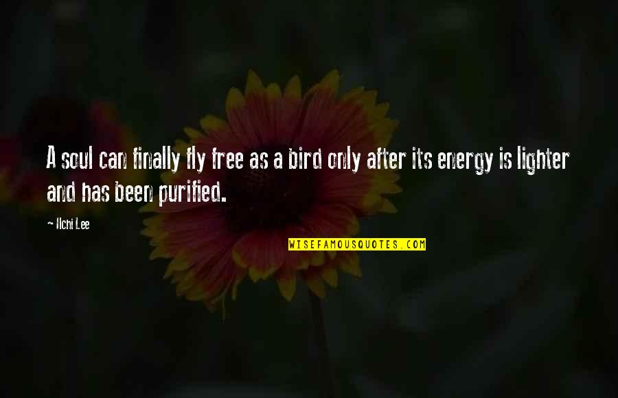 Free Bird Quotes By Ilchi Lee: A soul can finally fly free as a
