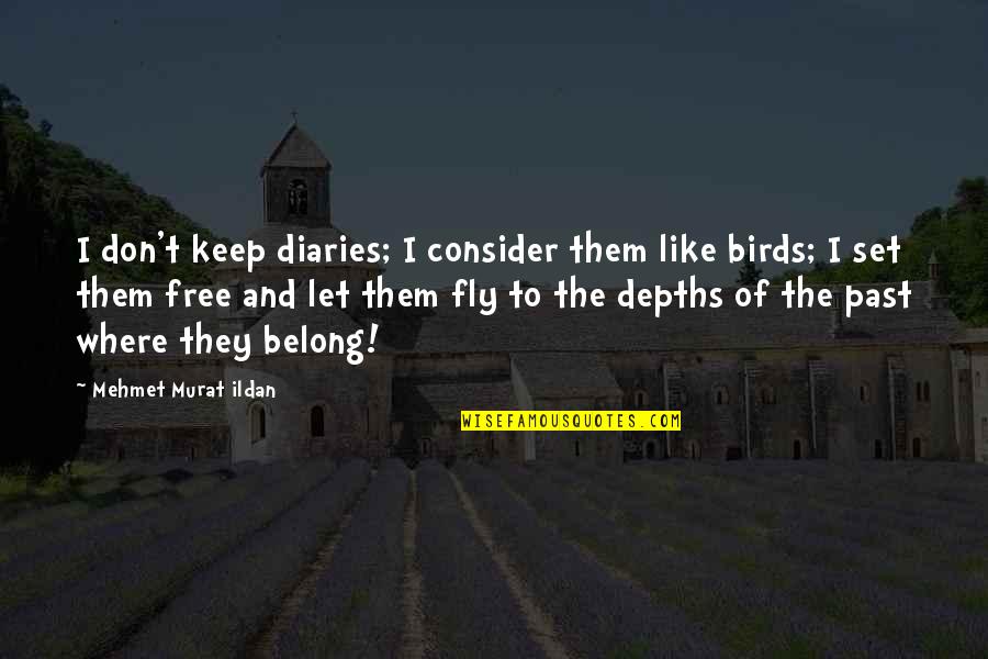 Free Bird Quotes By Mehmet Murat Ildan: I don't keep diaries; I consider them like