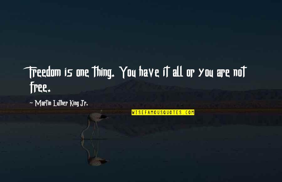 Free Free Quotes By Martin Luther King Jr.: Freedom is one thing. You have it all
