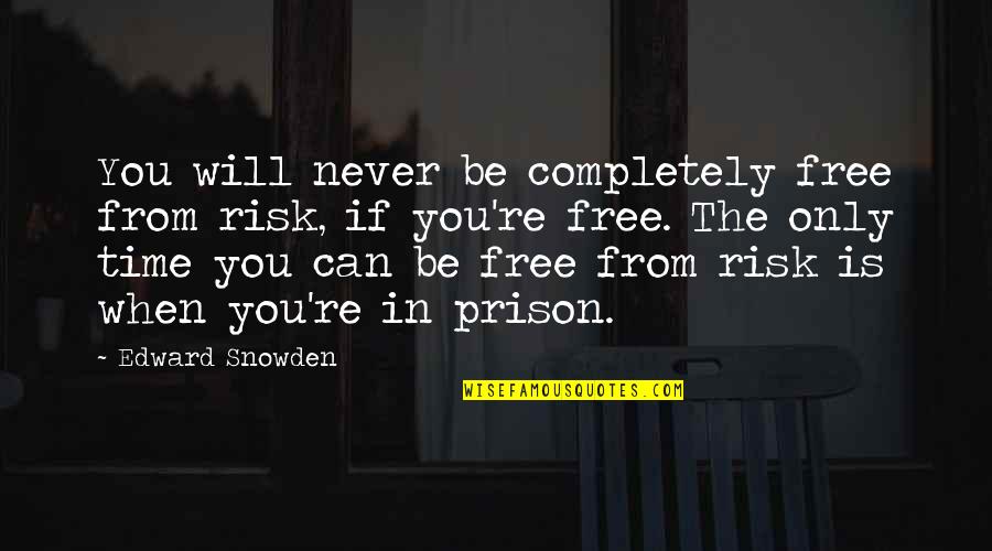 Free From Prison Quotes By Edward Snowden: You will never be completely free from risk,