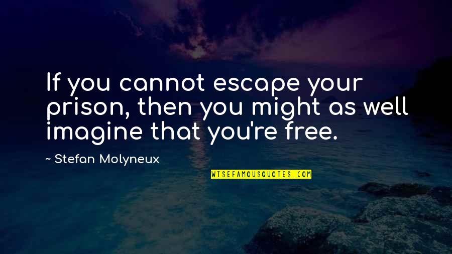 Free From Prison Quotes By Stefan Molyneux: If you cannot escape your prison, then you