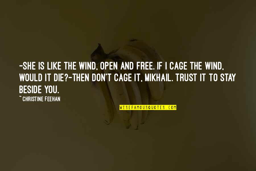 Free Like The Wind Quotes By Christine Feehan: -She is like the wind, open and free.