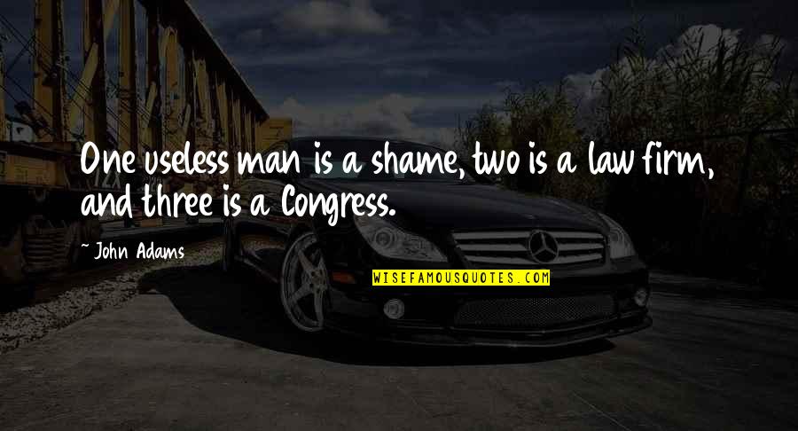 Free Lunch By Rex Ogle Quotes By John Adams: One useless man is a shame, two is