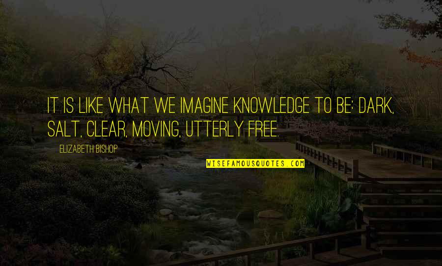 Free Moving Quotes By Elizabeth Bishop: It is like what we imagine knowledge to Free Moving Quotes By Elizabeth Bishop: It is like what we imagine knowledge to