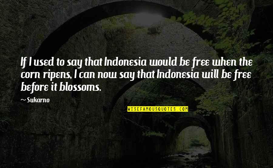 Free Now Quotes By Sukarno: If I used to say that Indonesia would