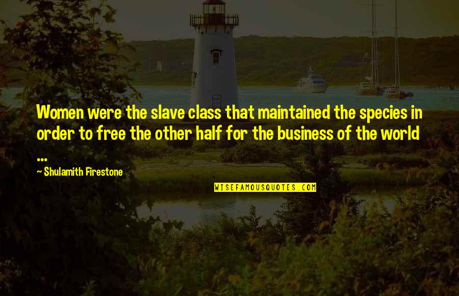 Free Slave Quotes By Shulamith Firestone: Women were the slave class that maintained the