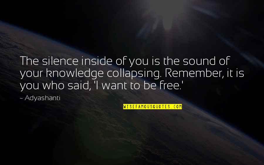 Free Sound Quotes By Adyashanti: The silence inside of you is the sound