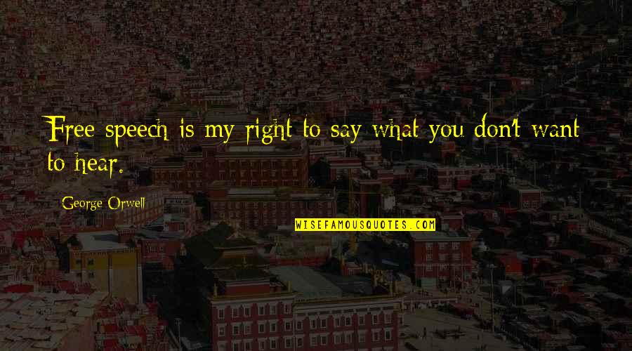 Free Speech Quotes By George Orwell: Free speech is my right to say what