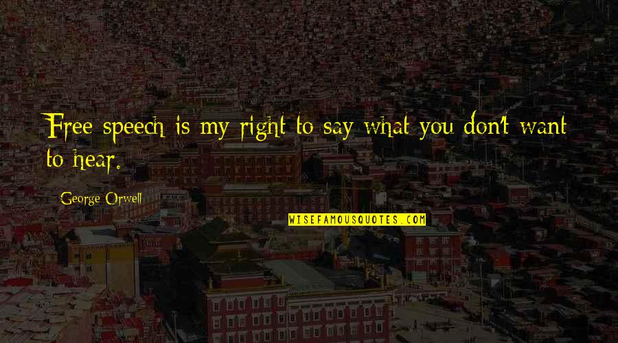Free Speech Quotes By George Orwell: Free speech is my right to say what Free Speech Quotes By George Orwell: Free speech is my right to say what