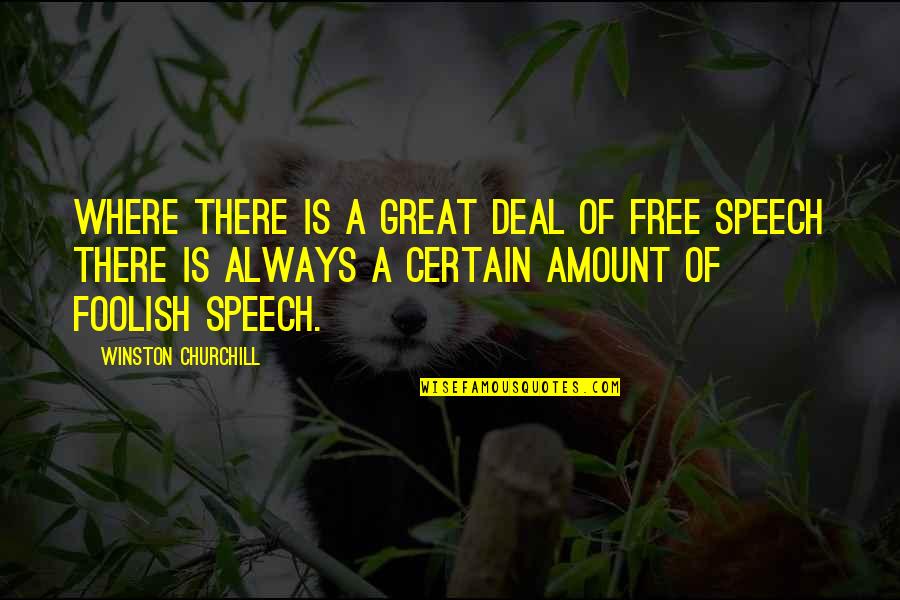 Free Speech Quotes By Winston Churchill: Where there is a great deal of free