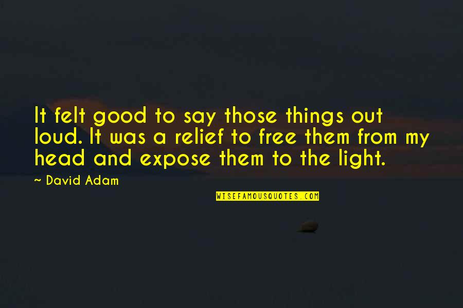 Free Things Quotes By David Adam: It felt good to say those things out
