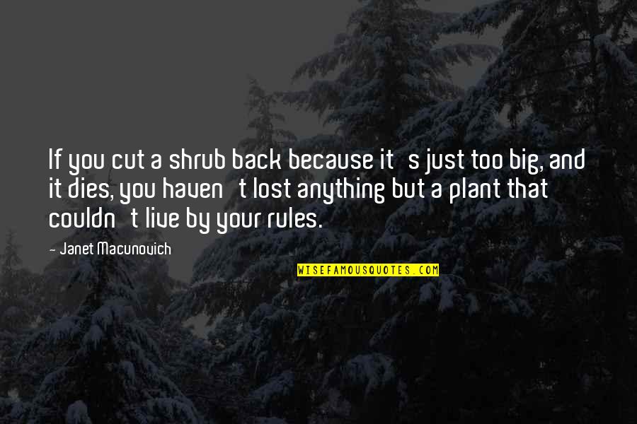 Free To Good Home Quotes By Janet Macunovich: If you cut a shrub back because it's