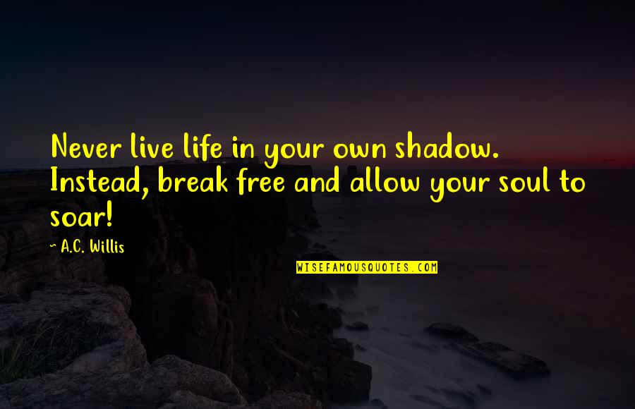 Free To Live Your Life Quotes By A.C. Willis: Never live life in your own shadow. Instead,