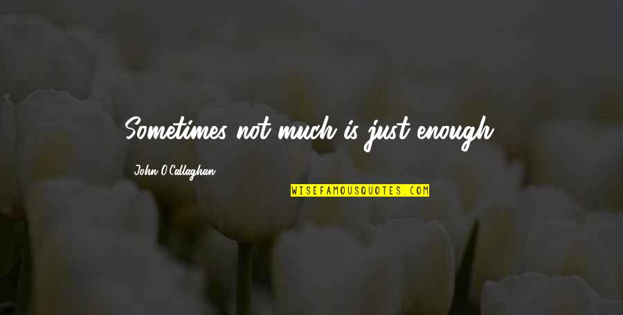 Free To Live Your Life Quotes By John O'Callaghan: Sometimes not much is just enough. Free To Live Your Life Quotes By John O'Callaghan: Sometimes not much is just enough.