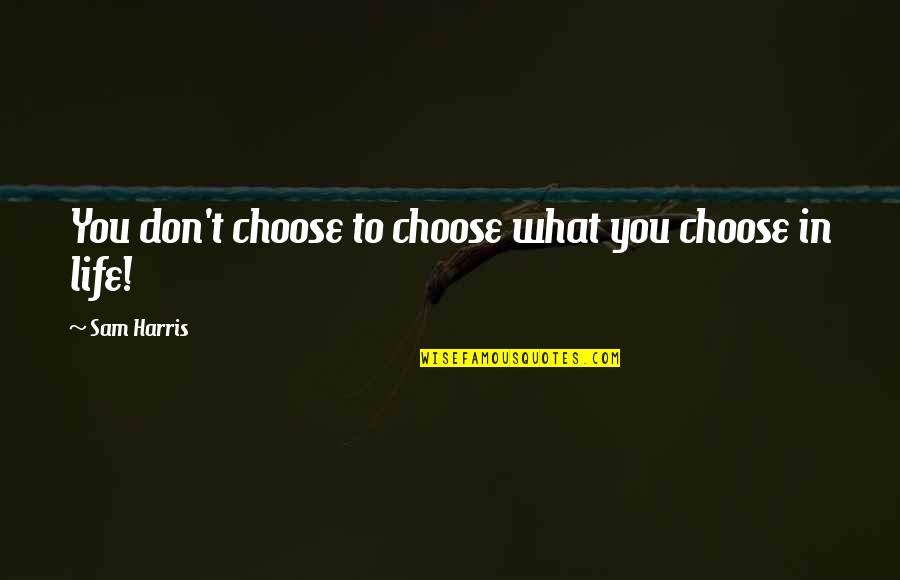 Free Will And Determinism Quotes By Sam Harris: You don't choose to choose what you choose