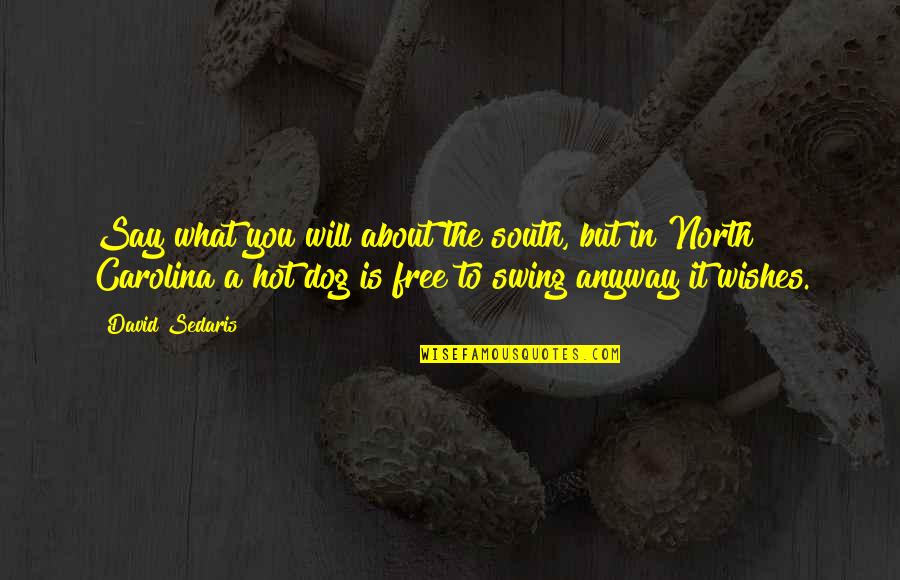 Free Will Quotes By David Sedaris: Say what you will about the south, but