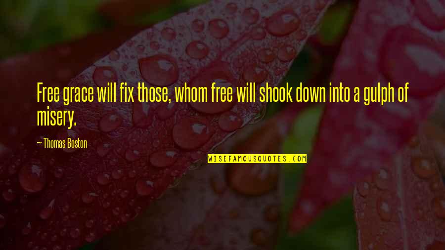Free Will Quotes By Thomas Boston: Free grace will fix those, whom free will
