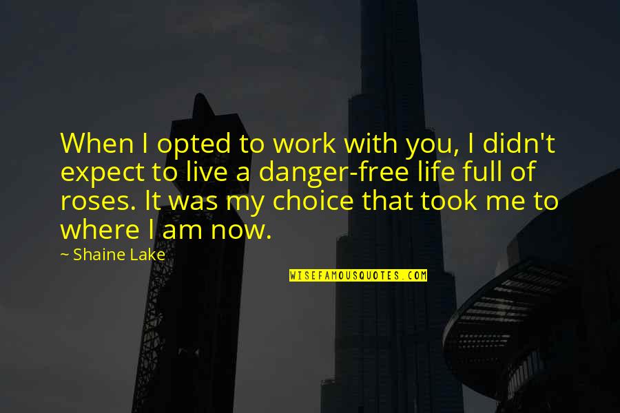 Free Work Quotes By Shaine Lake: When I opted to work with you, I Free Work Quotes By Shaine Lake: When I opted to work with you, I