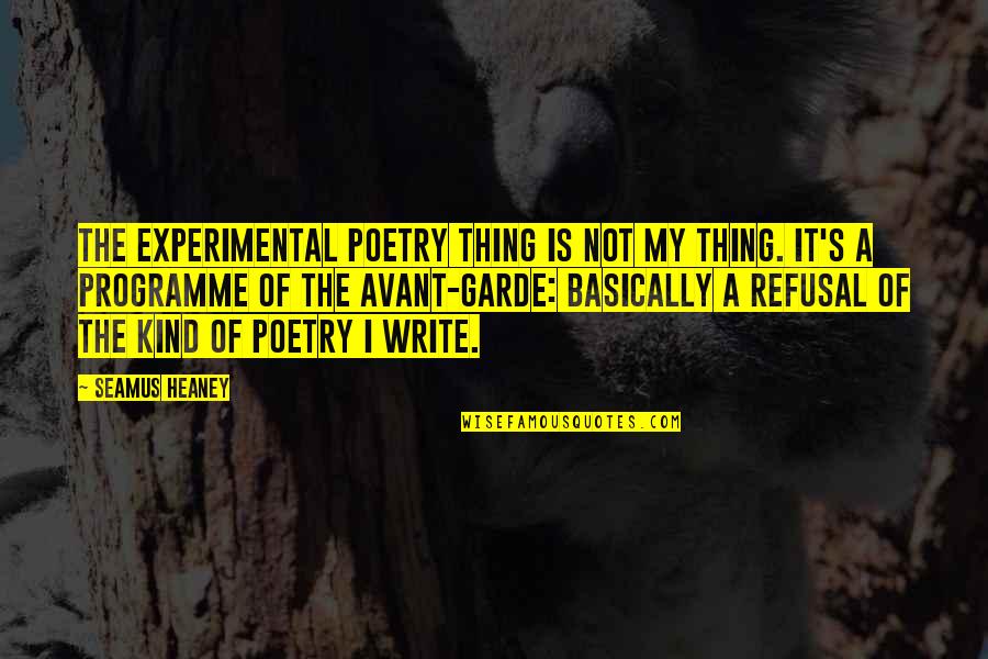 Freebird Lyric Quotes By Seamus Heaney: The experimental poetry thing is not my thing.