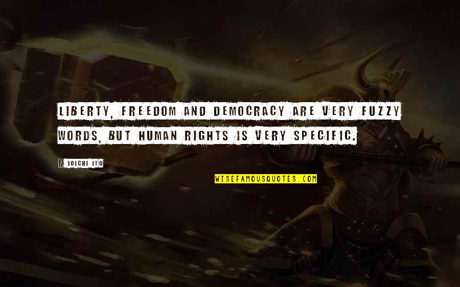 Freedom And Democracy Quotes By Joichi Ito: Liberty, freedom and democracy are very fuzzy words, Freedom And Democracy Quotes By Joichi Ito: Liberty, freedom and democracy are very fuzzy words,