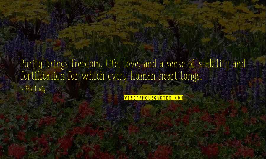 Freedom And Love Quotes By Eric Ludy: Purity brings freedom, life, love, and a sense