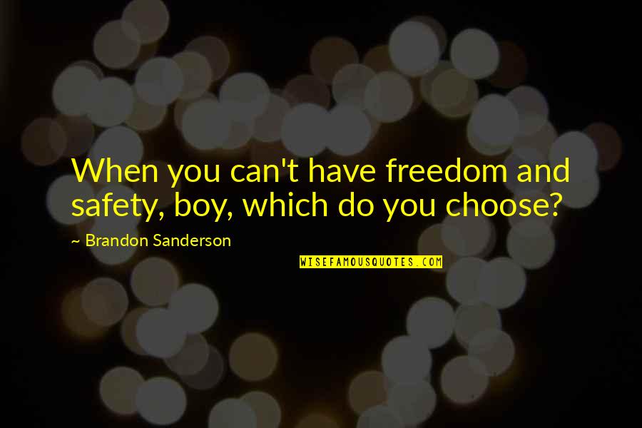 Freedom And Safety Quotes By Brandon Sanderson: When you can't have freedom and safety, boy,