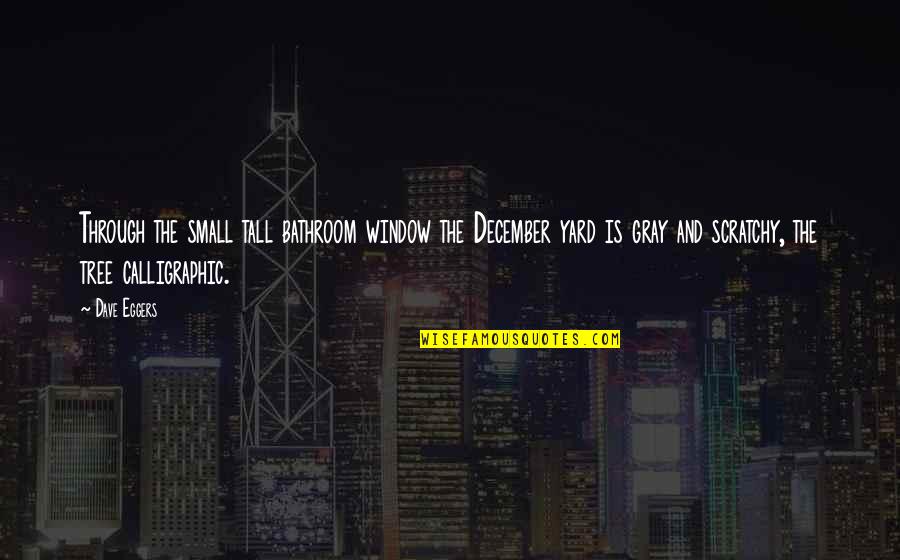 Freedom And Safety Quotes By Dave Eggers: Through the small tall bathroom window the December