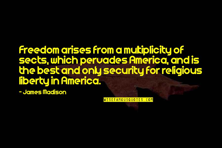 Freedom And Security Quotes By James Madison: Freedom arises from a multiplicity of sects, which