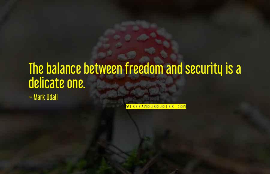 Freedom And Security Quotes By Mark Udall: The balance between freedom and security is a